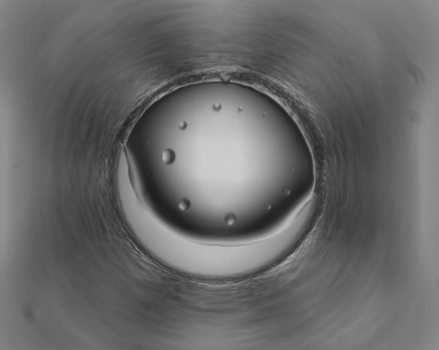 X0000112061257200908251013