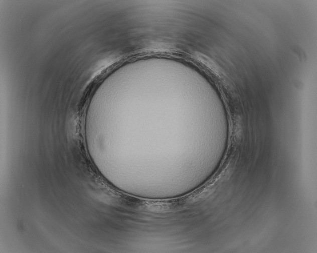 X0000112061258200908251013