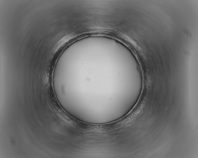 X0000112061259200908251013