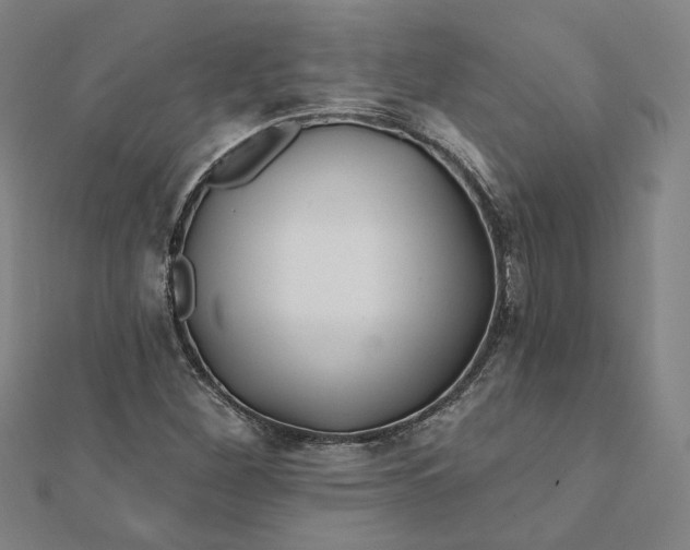 X0000112061260200908251013