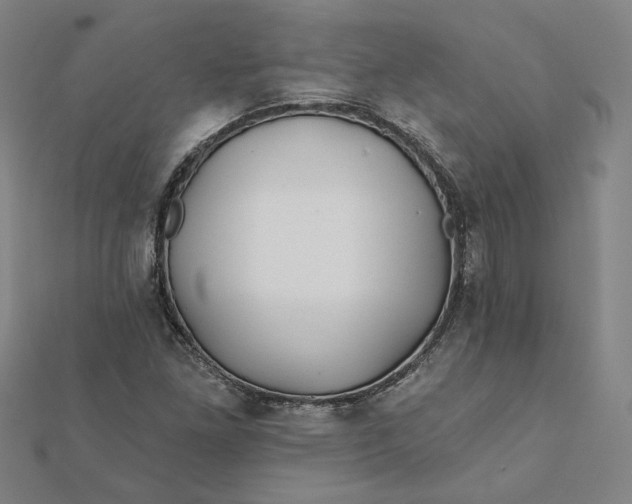 X0000112061261200908251013