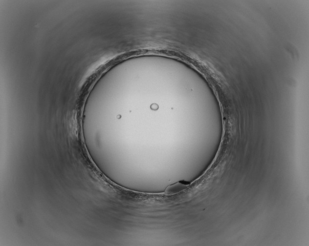 X0000112061262200908251012