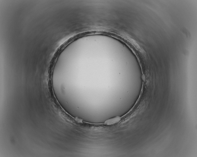 X0000112061264200908251012