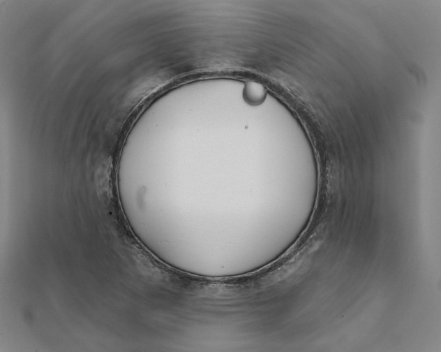 X0000112061265200908251012