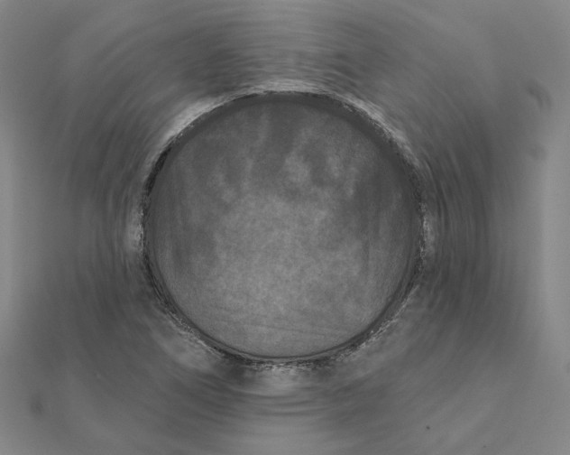 X0000112061266200908251012