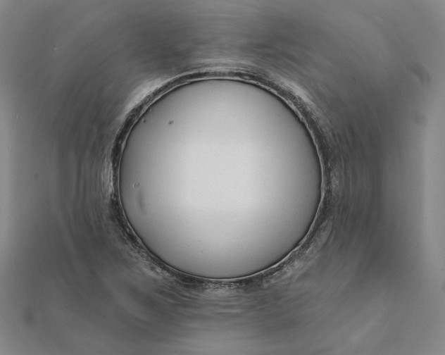 X0000112061267200908251012