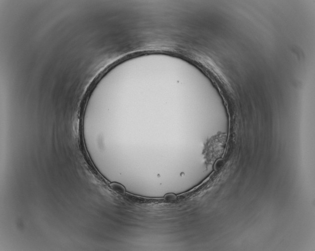 X0000112061268200908251012