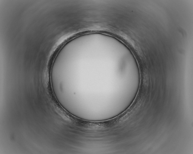 X0000112061270200908251012