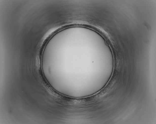 X0000112061271200908251012