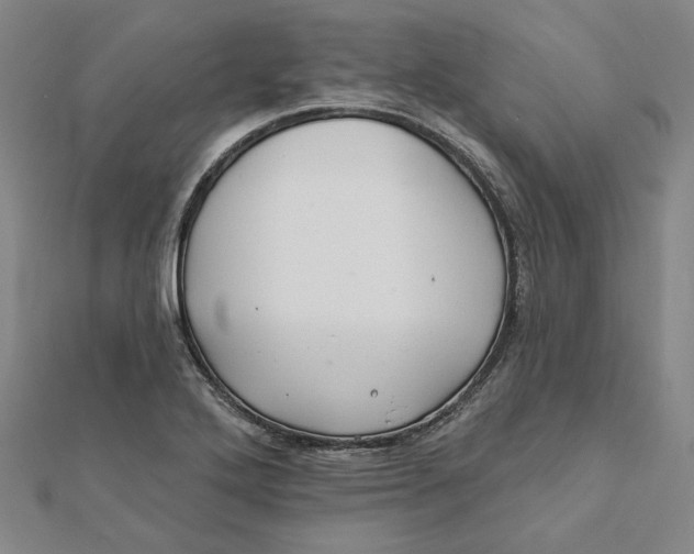 X0000112061272200908251012