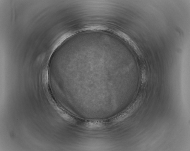 X0000112061274200908251012