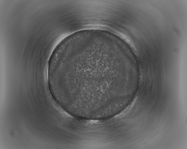 X0000112061275200908251012