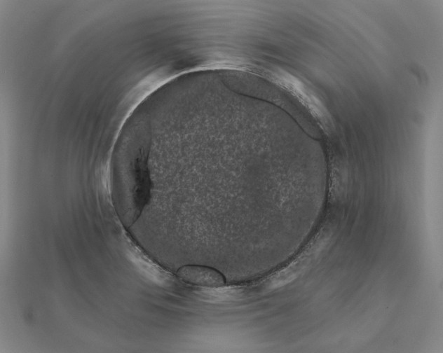 X0000112061276200908251012