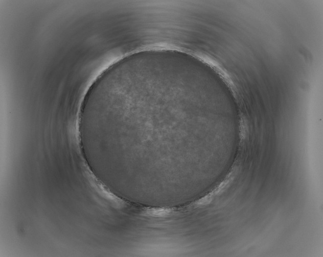 X0000112061278200908251012