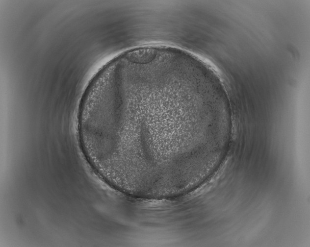 X0000112061279200908251012