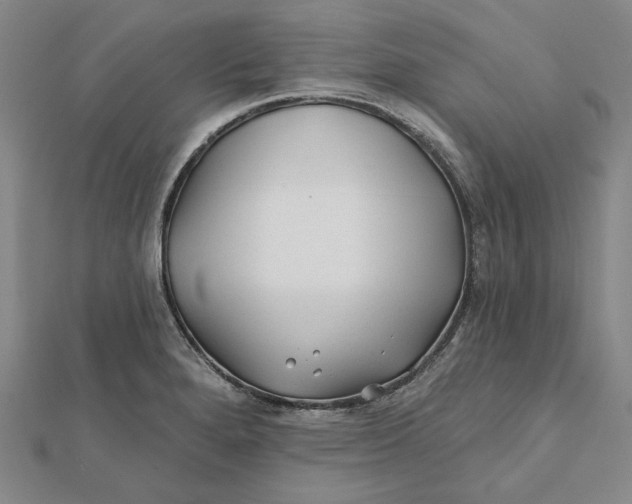 X0000112061280200908251012