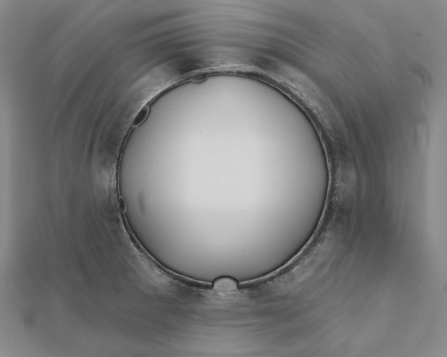 X0000112061281200908251012