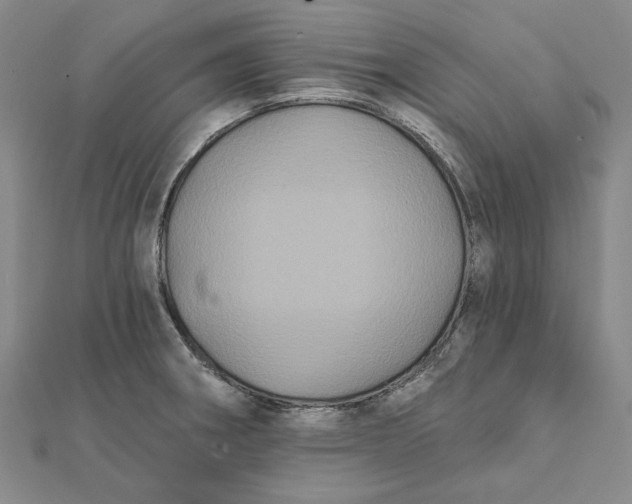 X0000112061282200908251012