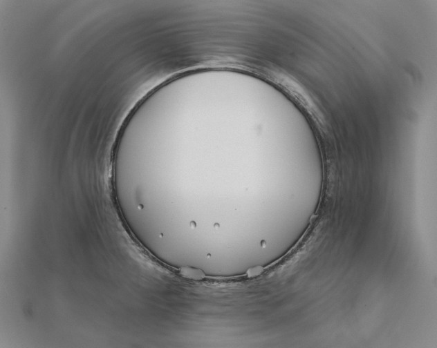 X0000112061284200908251012