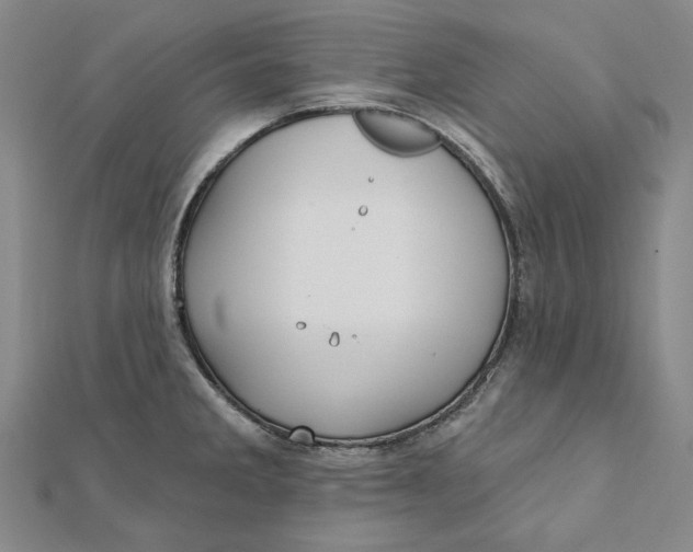 X0000112061285200908251012