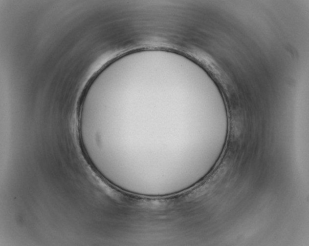 X0000112061286200908251012