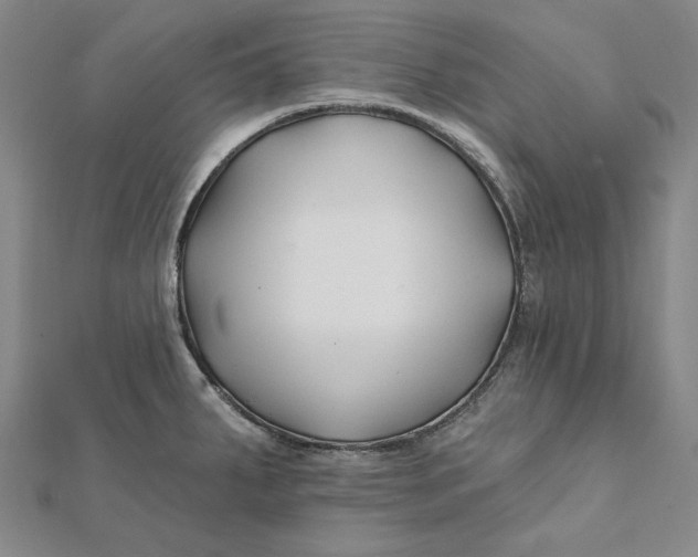 X0000112061287200908251012