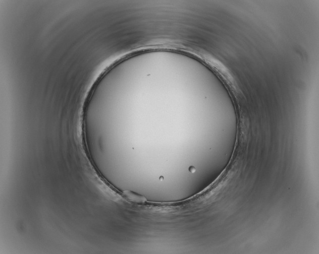 X0000112061288200908251012