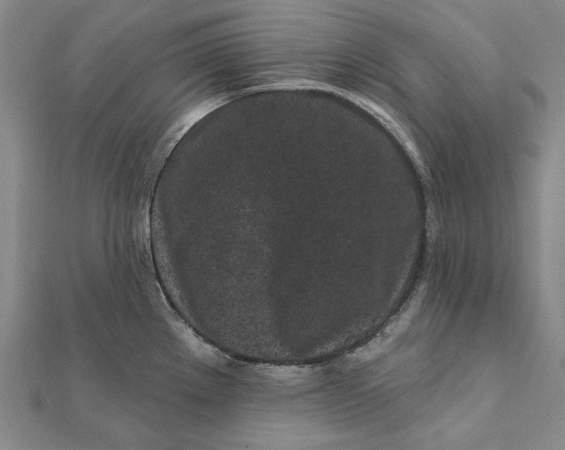 X0000112061289200908251012