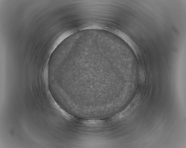 X0000112061290200908251012