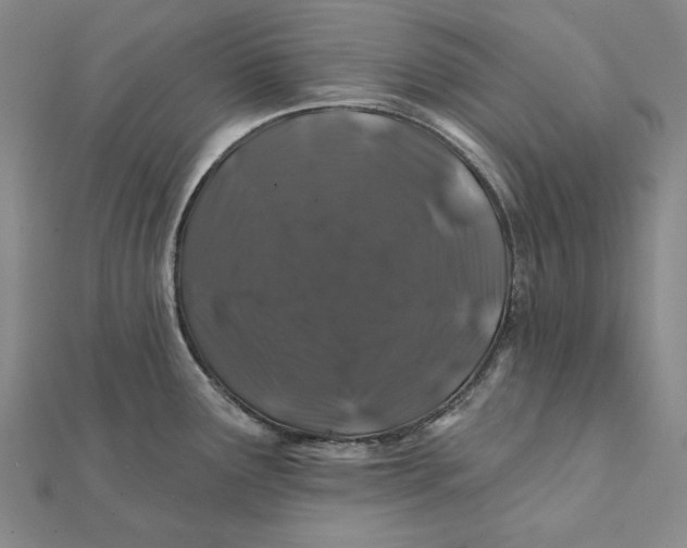 X0000112061291200908251012