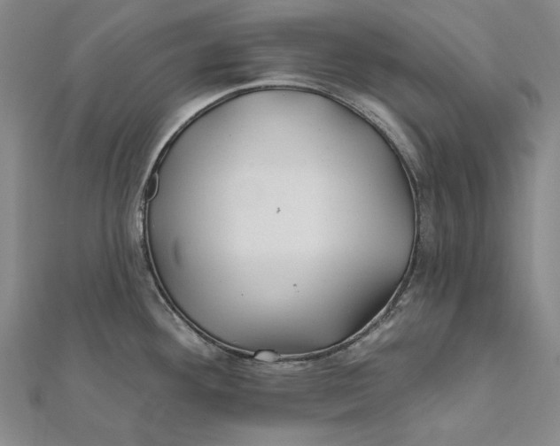 X0000112061292200908251012