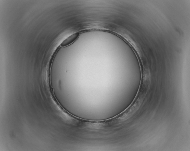 X0000112061293200908251012