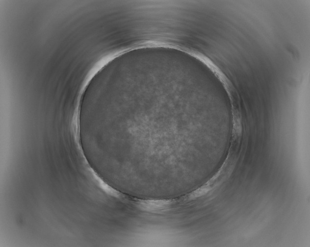 X0000112061294200908251012