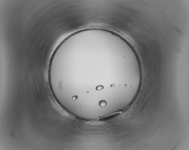 X0000112061296200908251012