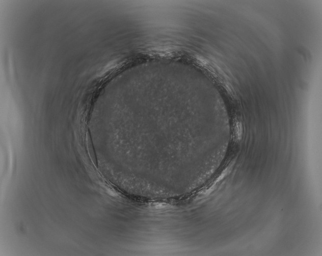 X0000112061297200908251011