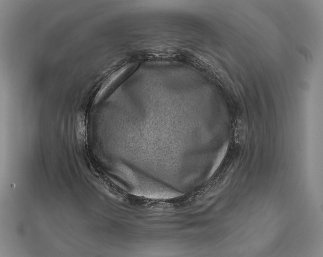 X0000112061298200908251011