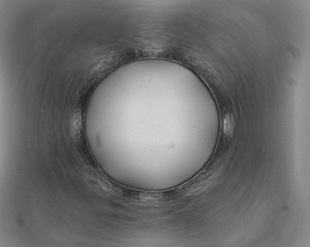 X0000112061299200908251011