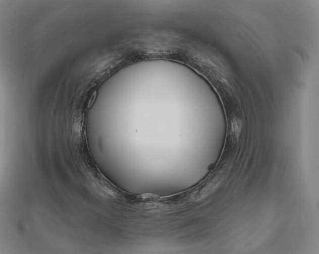 X0000112061300200908251011