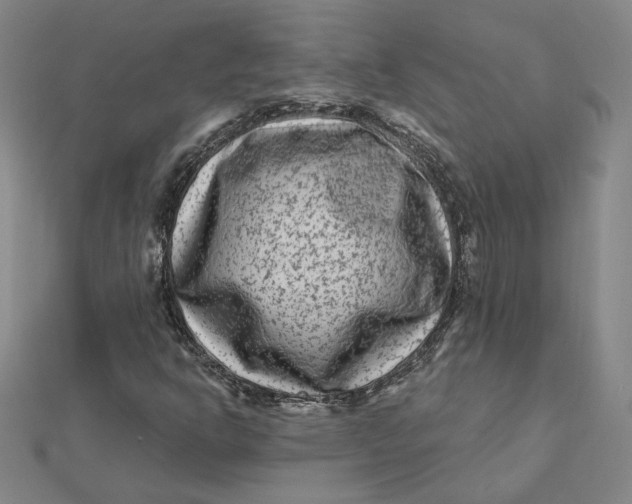 X0000112061302200908251011