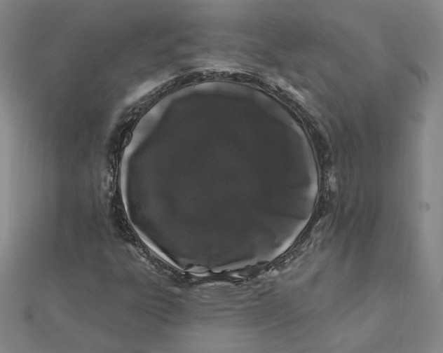 X0000112061303200908251012