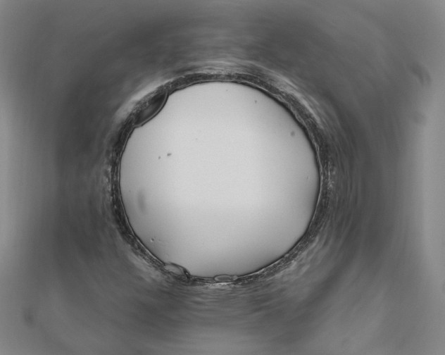 X0000112061304200908251012