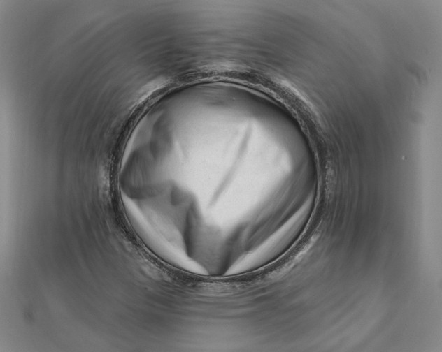 X0000112061305200908251012