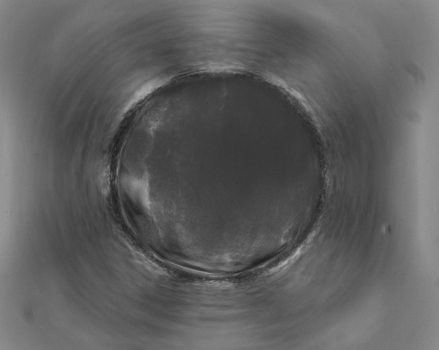 X0000112061306200908251012