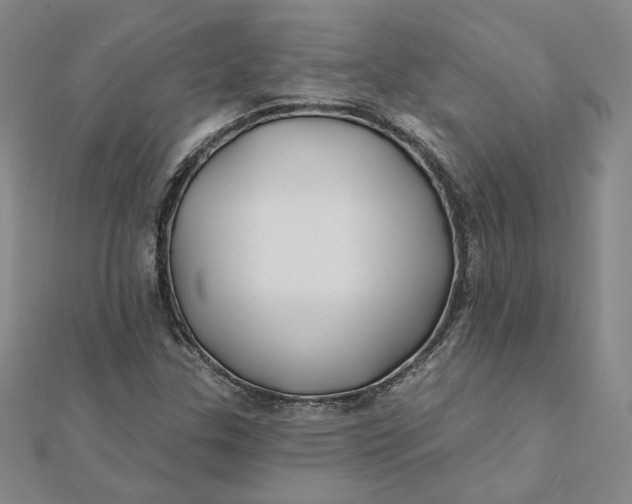 X0000112061307200908251012