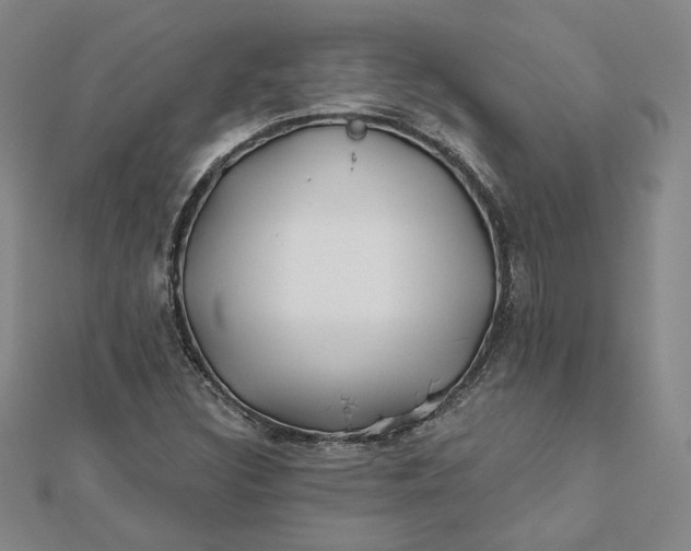 X0000112061308200908251012