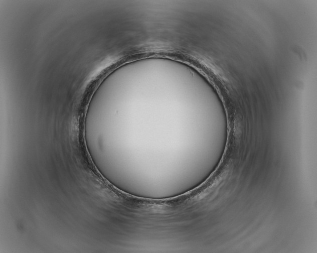 X0000112061309200908251012