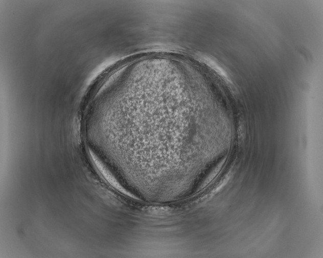 X0000112061310200908251012