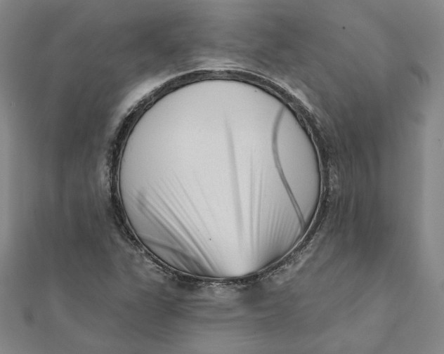 X0000112061311200908251012