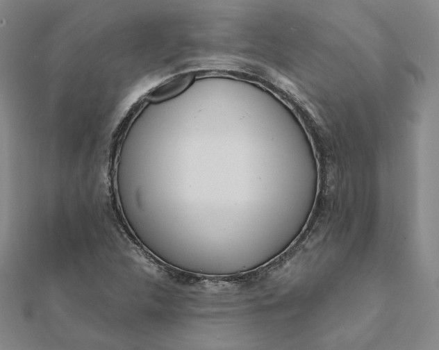 X0000112061312200908251012