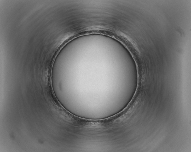 X0000112061313200908251012